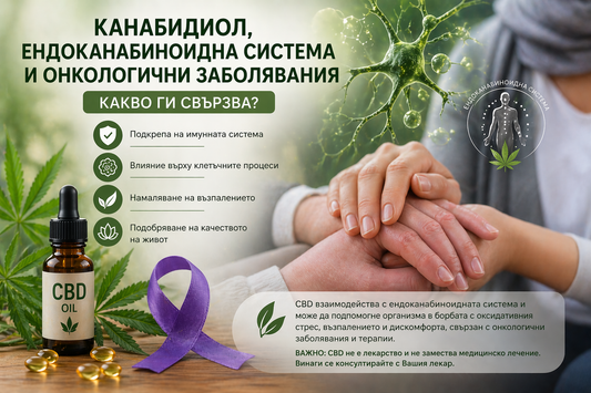 Канабидиол, ендоканабиноидна система и онкологични заболявания – какво ги свързва?