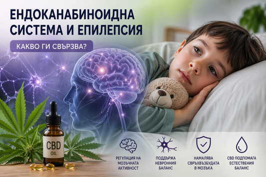 Ендоканабиноидна система и епилепсия – какво ги свързва в детайли?