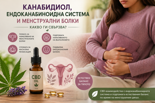 Канабидиол, ендоканабиноидна система и менструални болки – какво трябва да знаеш?