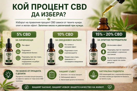 Кой процент CBD да избера – пълно ръководство за начинаещи