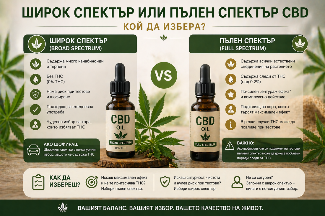 Широк спектър или пълен спектър CBD – кой да избера?