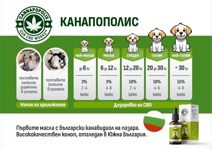 CBD масло 3% за домашни любимци (300 mg CBD)