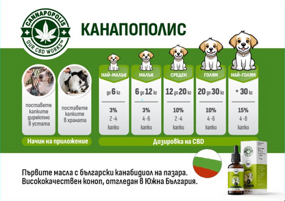 CBD масло 3% за домашни любимци (300 mg CBD)